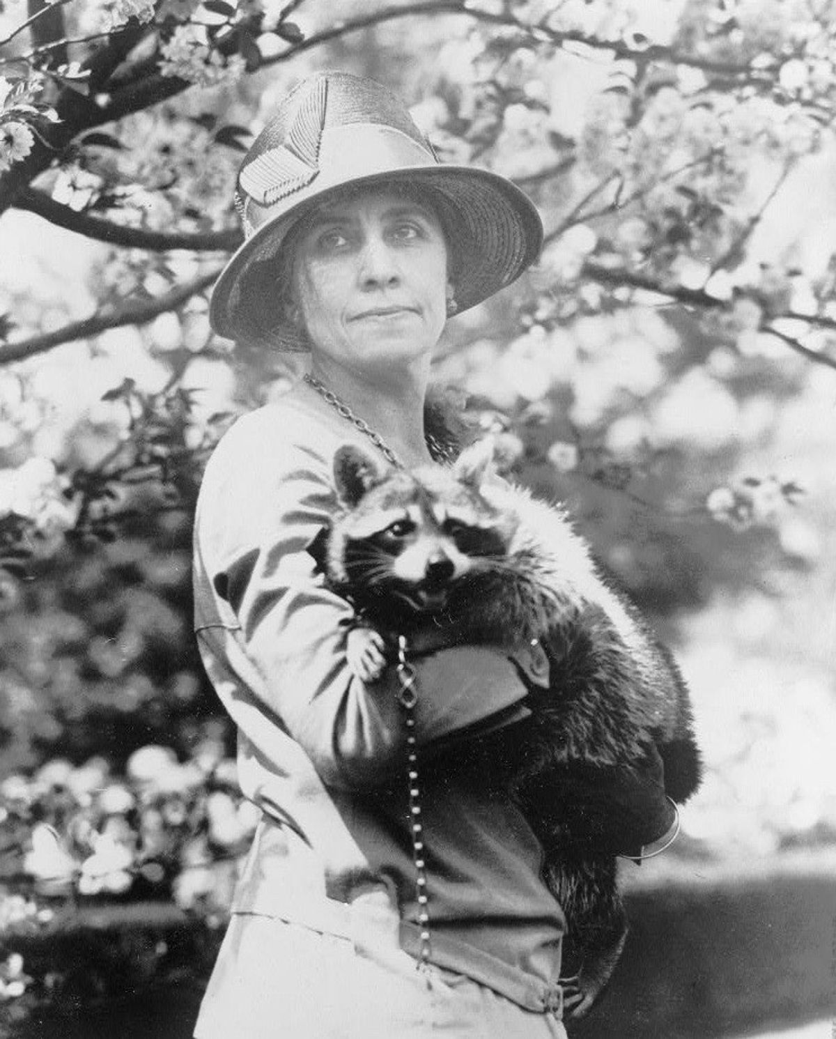 Rebecca the Raccoon often escaped her cage and led White House aides on hours-long pursuits around the property.