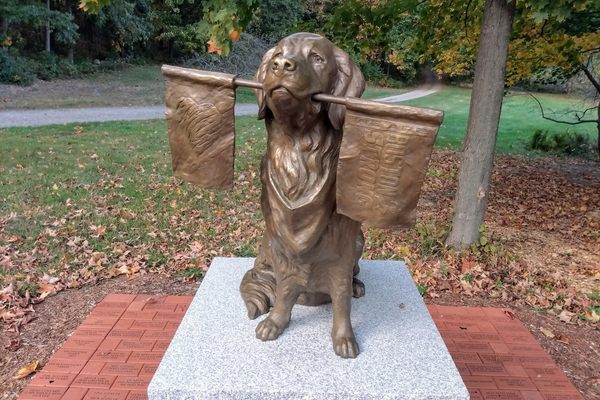 A bronze statue of a golden retriever holding two flags in its mouth.