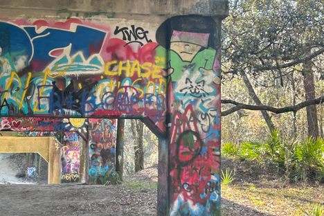 Suwanee Springs Bridge (The Bridge to Nowhere)