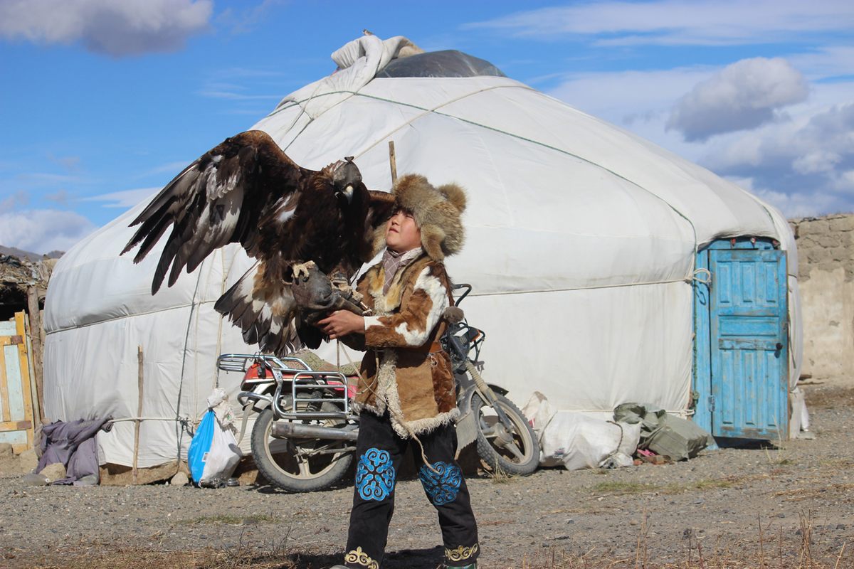 Dayanbek prepares her eagle on the morning of the competition.