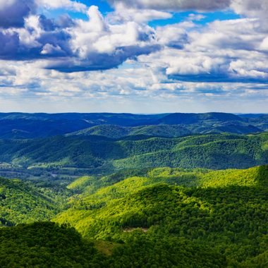 View of Monongahela National Forest from Top of Olson Fire Tower