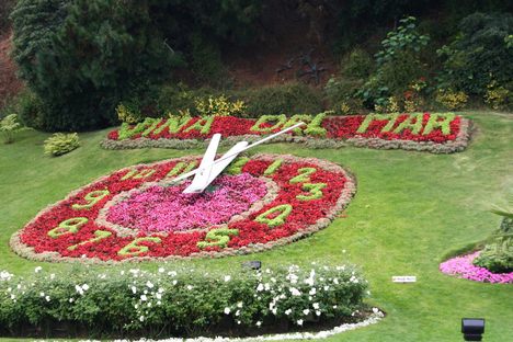 Reloj de Flores