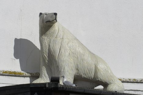 Scoresby's Polar Bear