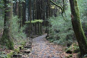 Photo of Hakone