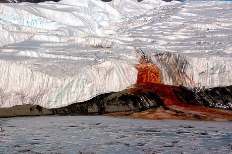 Blood Falls pouring into Lake Bonney. 