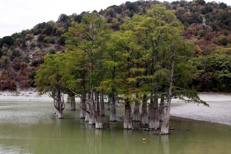 Sukko Cypress Lake