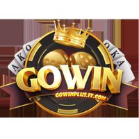 Profile image for Gowinplusitcom