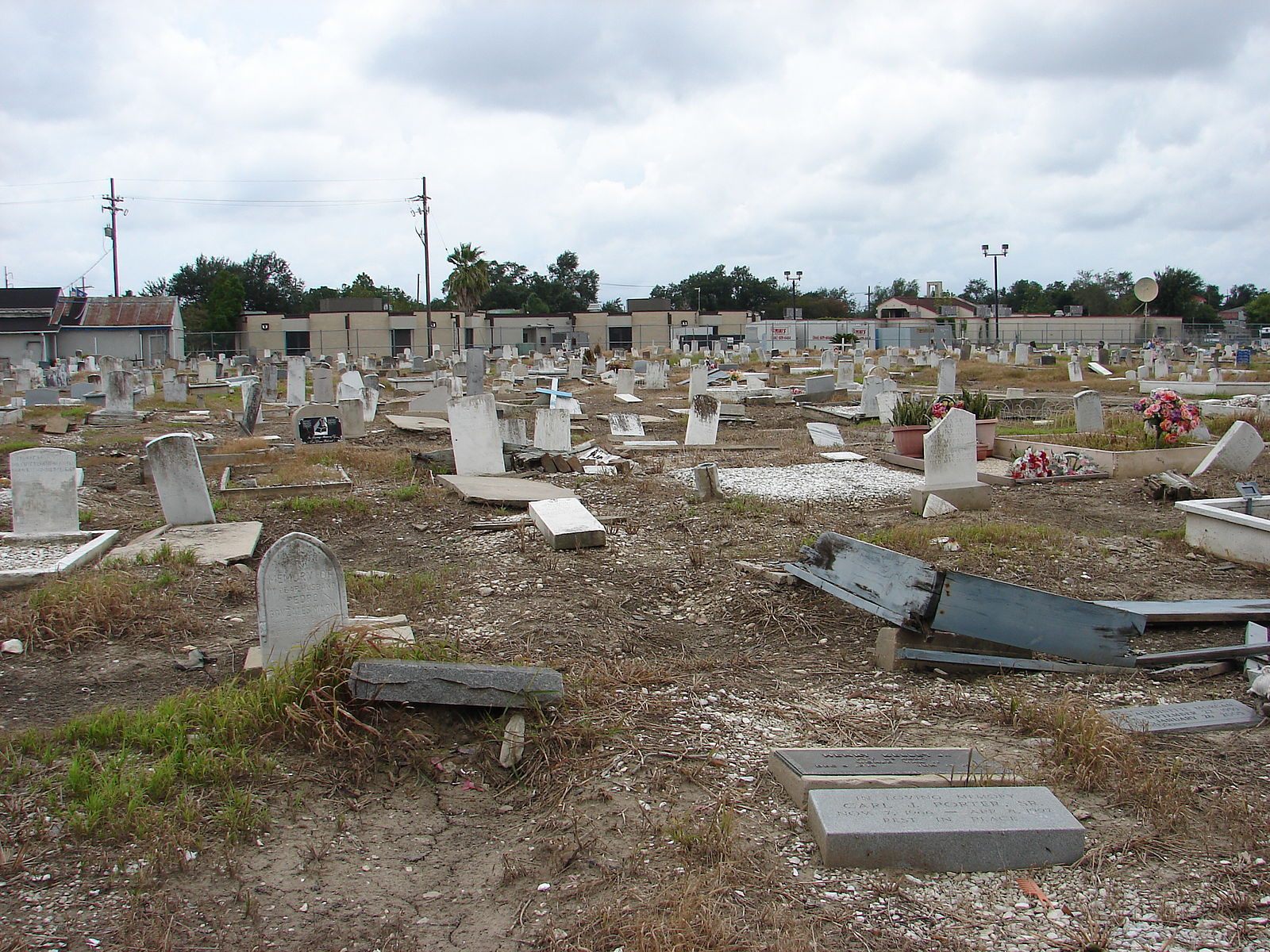 A (thankfully) dry day at Holt Cemetery, a rare New Orleans below-ground burial site. 