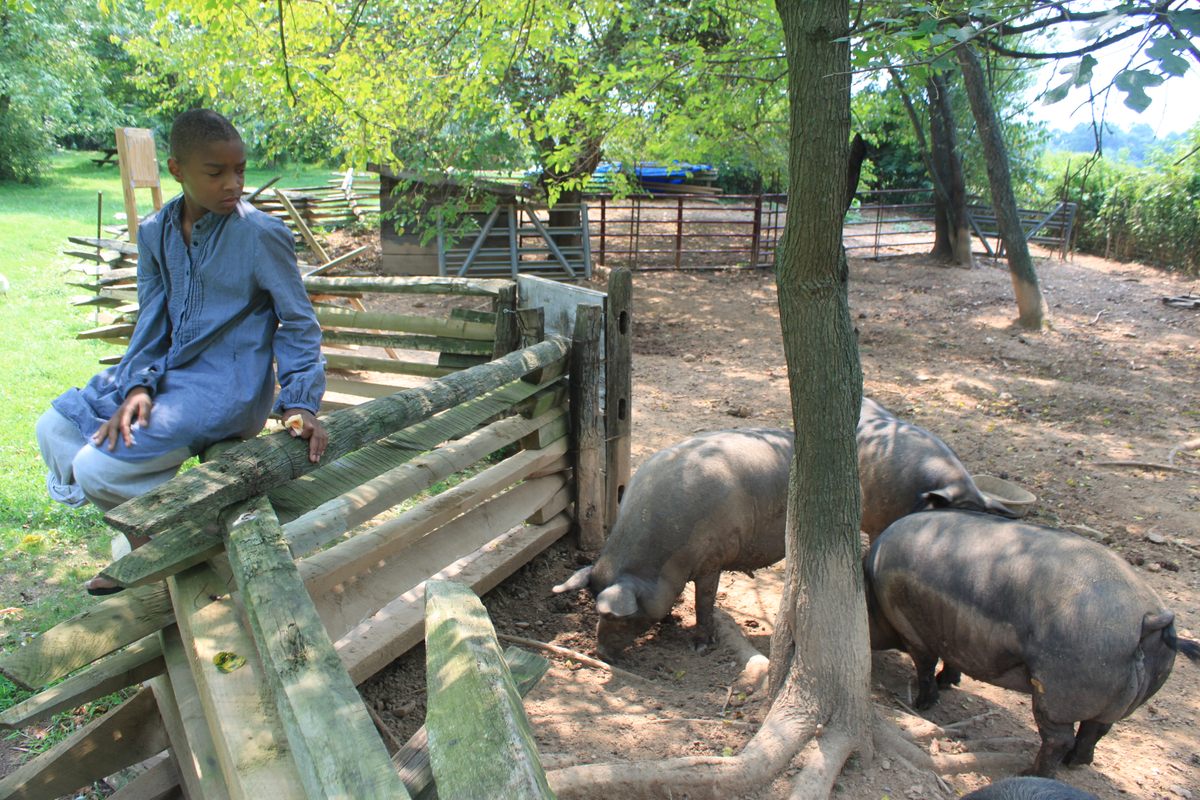 A child participates in experiential learning at Button Farm.