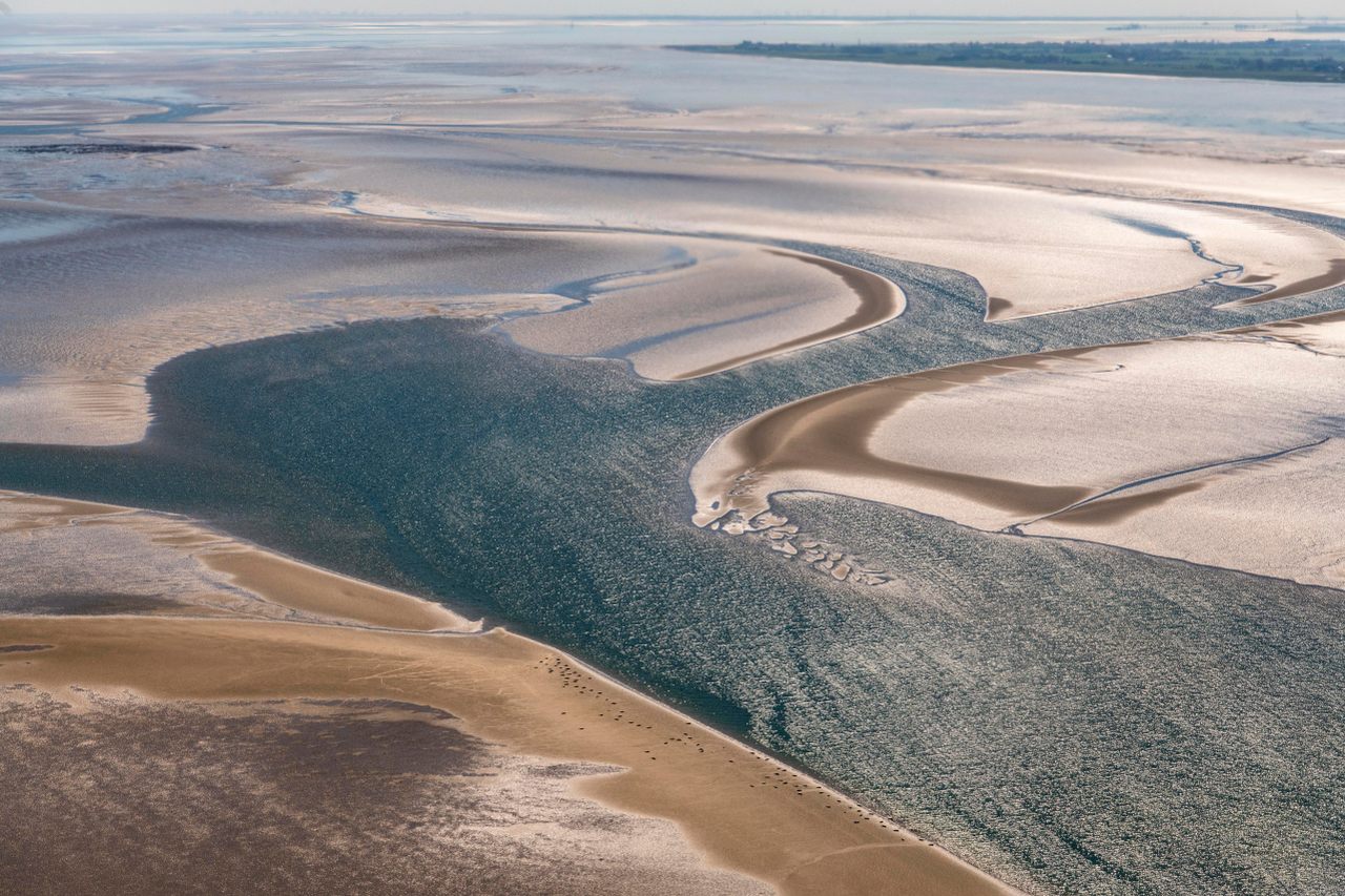 Tidal flats in Denmark's Wadden Sea National Park show what the land on the edge of the North Sea looks like today.