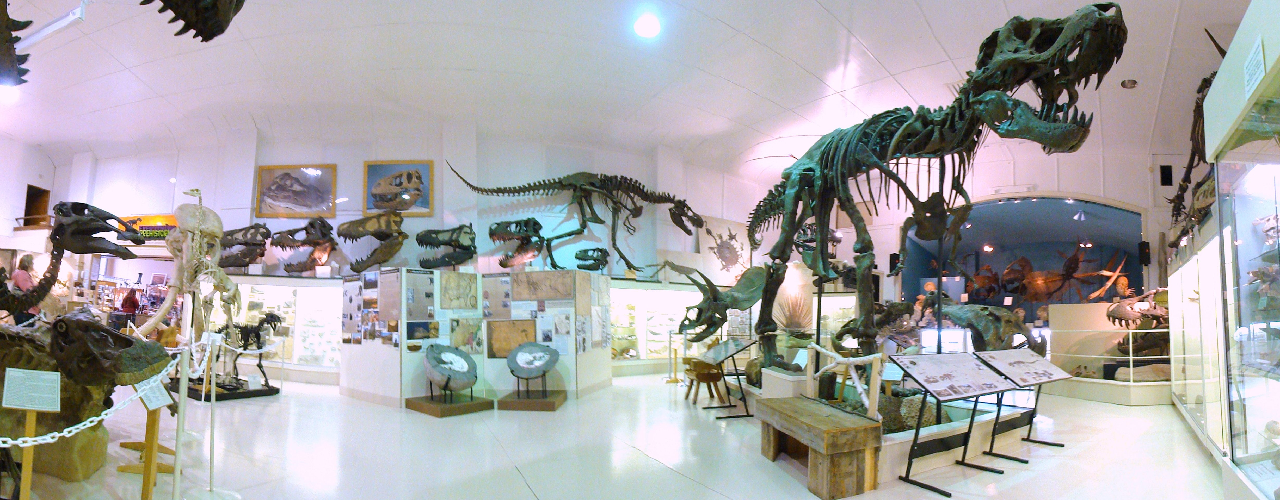 Black Hills Institute, home of the dinosaurs.