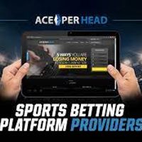 Profile image for Sports Betting Platform Providers