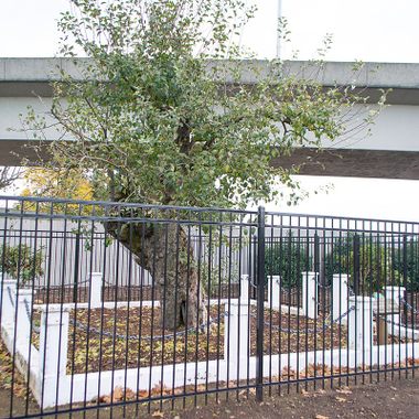 Old Apple Tree Park.