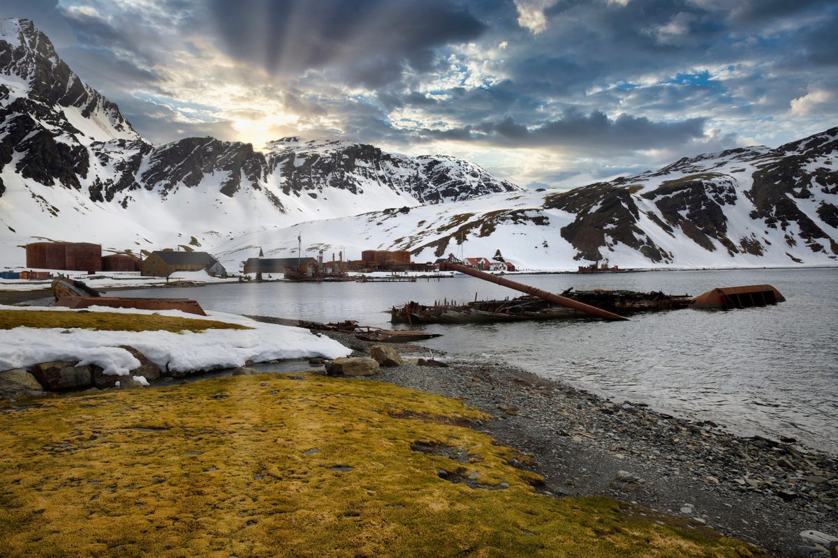 King Edward Cove, South Georgia and the Sandwich Islands, Antarctica.