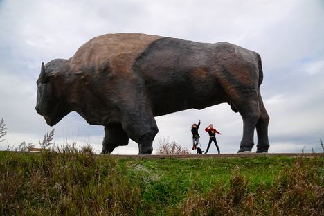 World's Largest Buffalo
