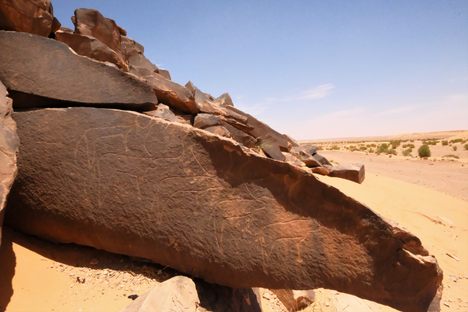 Some of the rock art  in the site