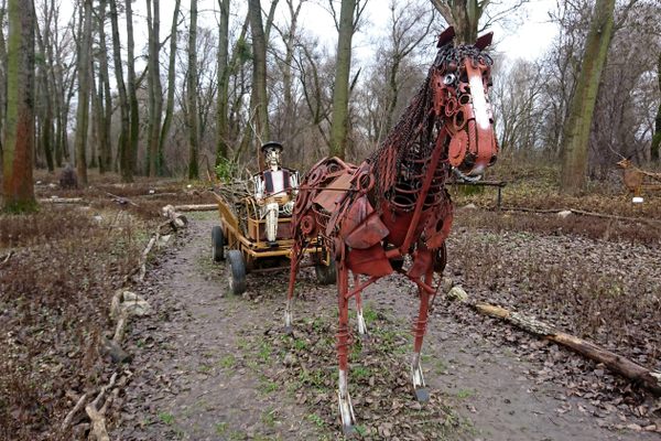 Coachman riding a horse
