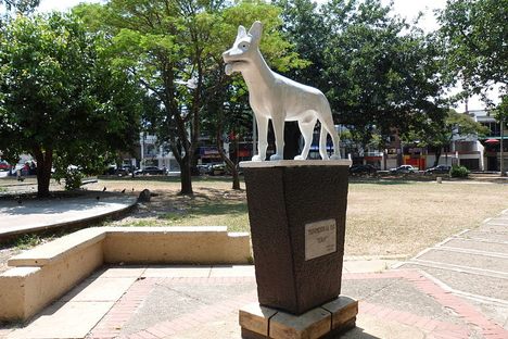 Parque del Perro