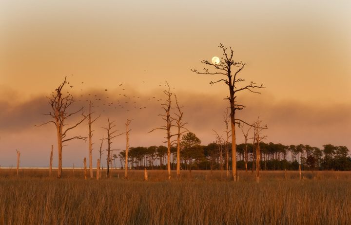 Eastern Seaboard Paranormal