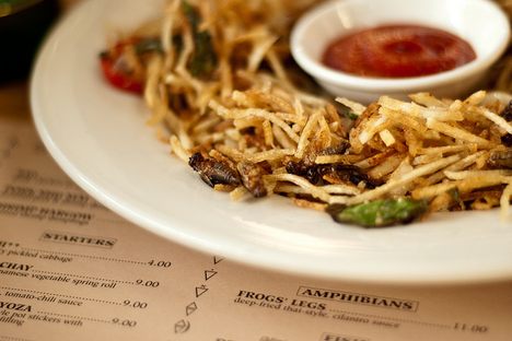 One of Typhoon's insect dishes.