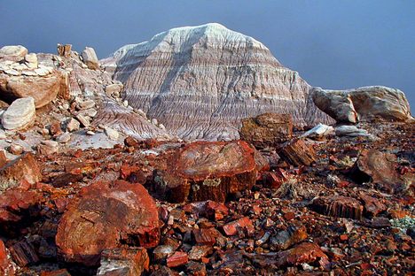 Discover Arizona’s Majesty