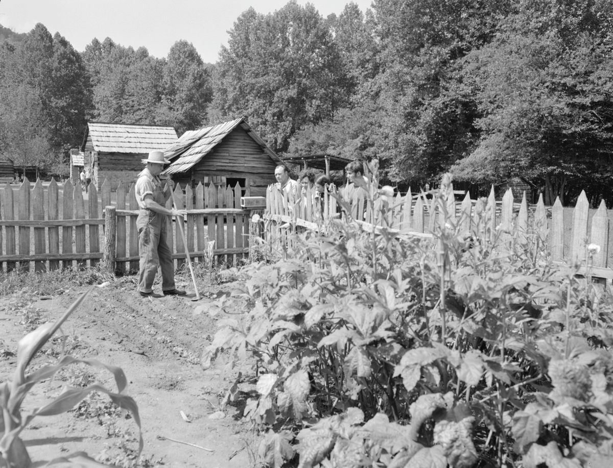 Aubrey Coward in a garden, talking with visitors at Oconaluftee farmstead, 1969. It is now part of a mountain farm museum.
