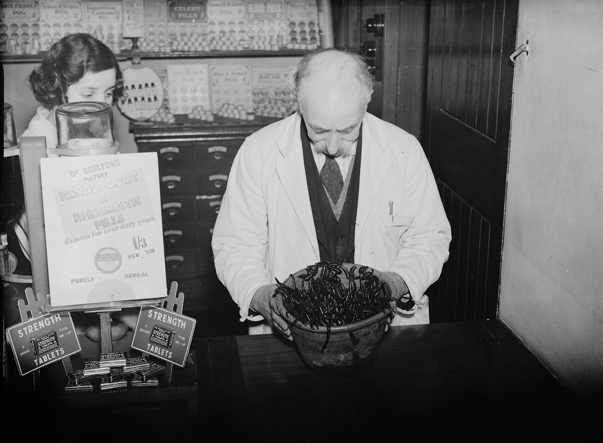 Medical leeches fell out of favor in the first half of the 20th century. But not at this London pharmacy.