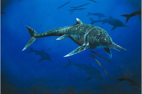 New 200-Million-Year-Old Species of Marine Reptile Found From Dinosaur Era