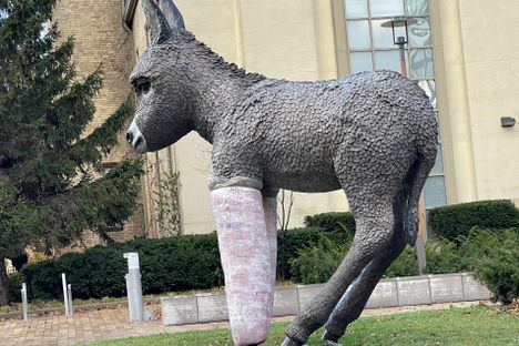 “Primrose” the Donkey.