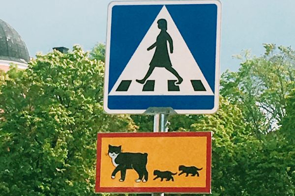 The cat sign with a female crossing sign.