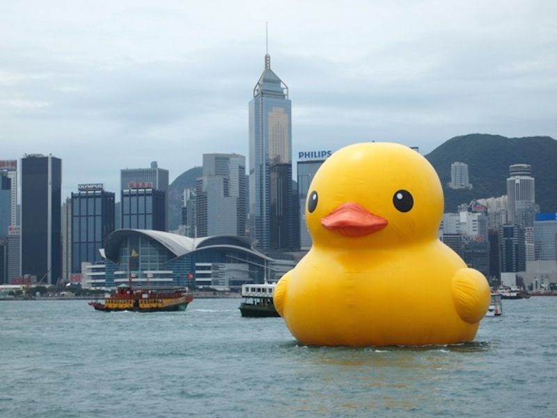 "Rubber Duck" hangs in Hong Kong. 