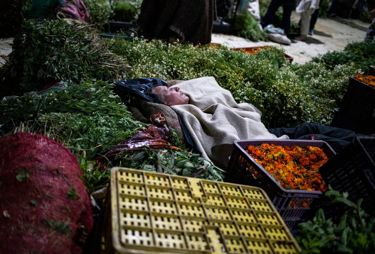 An exhausted vendor naps at his night market stall; many sellers drive for hours from small farms and then stay up past dawn selling herbs and other plants.