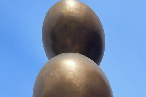 'Zygote'