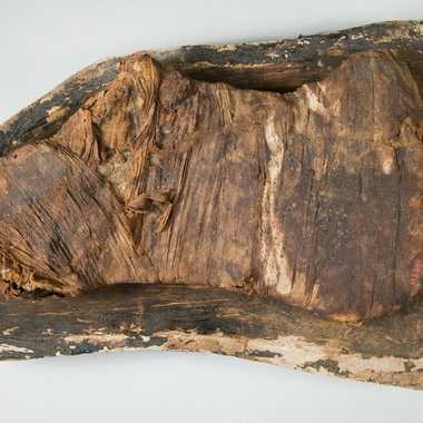 The mummified beef shoulder, likely of Prince Amenemhat.
