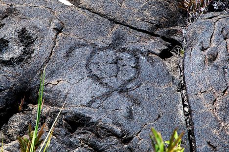 A petroglyph of a sea turtle.