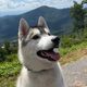 makoyumi profile photo