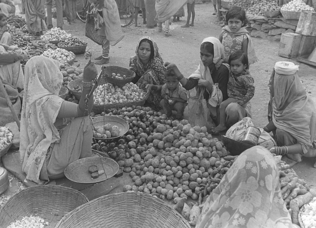 How the potato came to India and conquered our lives