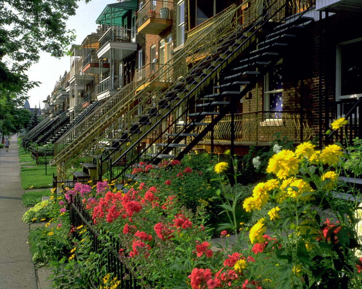 In the 1940s, Montreal prohibited the construction of new outdoor staircases, but the ban did not last long. The steps were too ingrained in the cityscape.