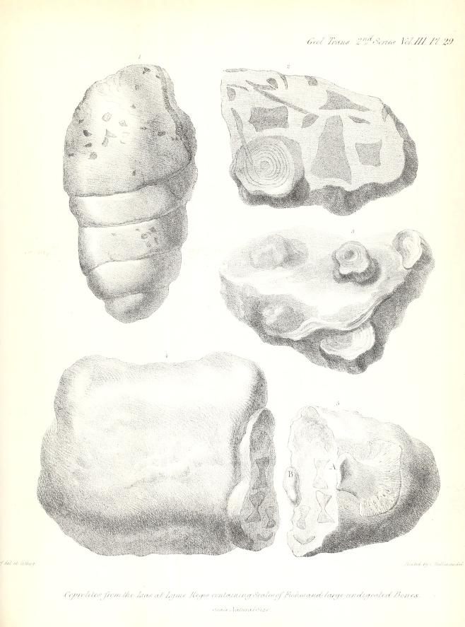 The coprolites in Buckland's text don't look so bad.