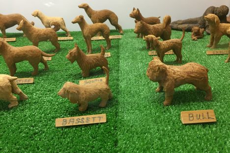Many breeds of dog.