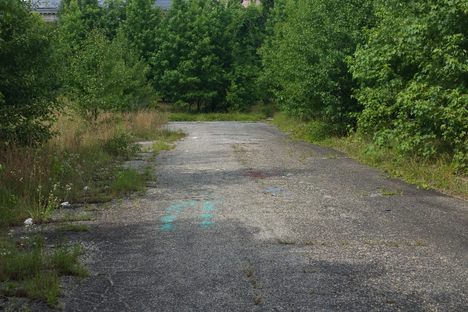 Reaching the driveway via the woods