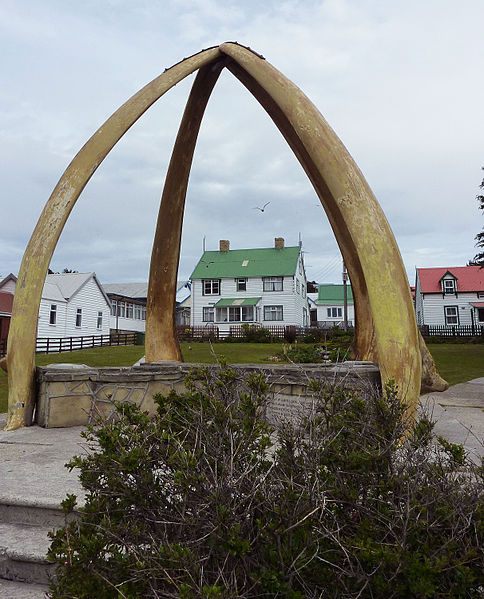 10 Places Where You Can See Whale Bones Outside a Museum - Atlas