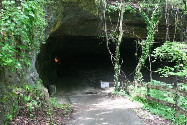 The entrance to Saltpeter Cave.