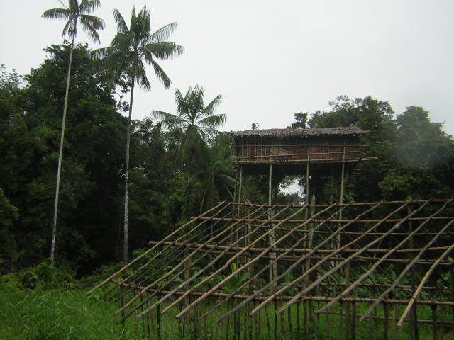 Casas de árvores construídas pelo povo Korowai em Papua, Nova Guiné Indonésia