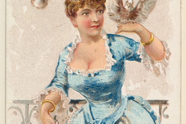 Pigeons were included in a series of 1891 illustrations entitled “Household Pets.”