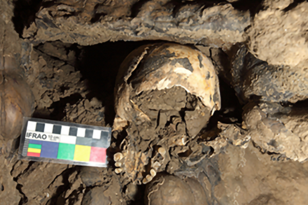 The partial skull found in Marcel Loubens Cave is more than 5,000 years old