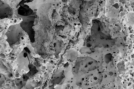 The Scanning Electron Microscope photograph of bread found at Shubayqa 1.