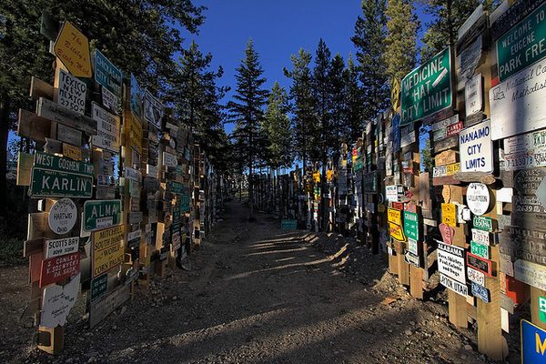 A lane of signs in the forest