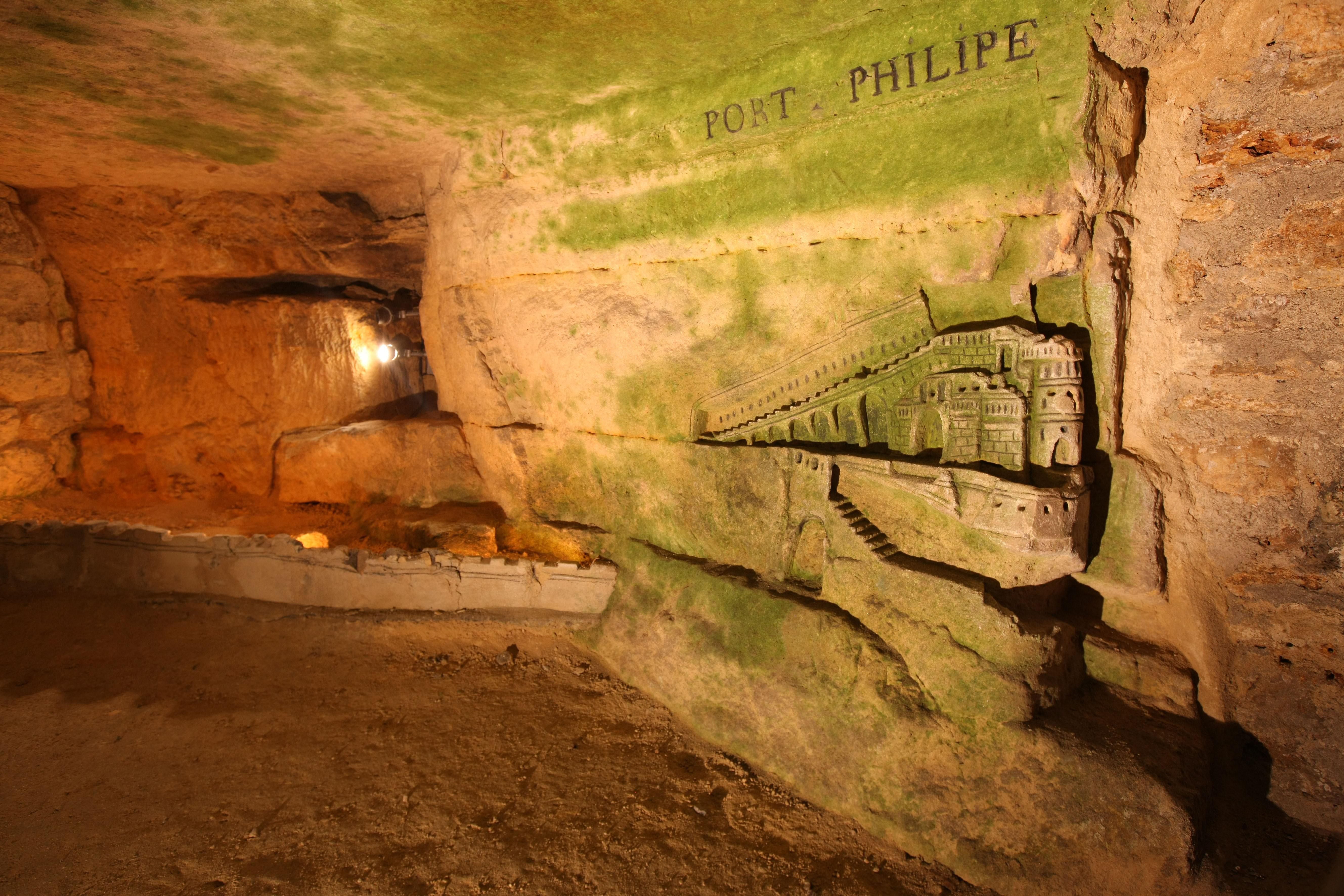 Lamp flora has found its way into Paris's catacombs.