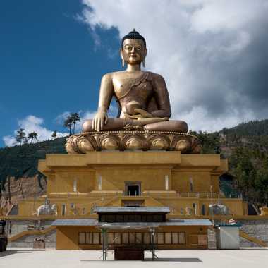 Head on view of the Buddha Dordenma statue